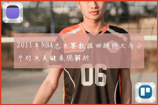 2011年NBA总决赛数据回顾热火与小牛对决关键表现解析