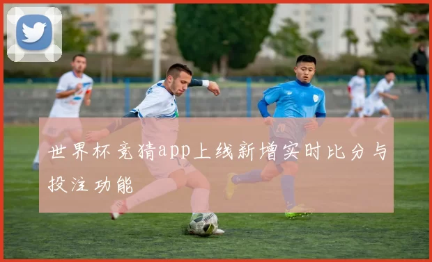世界杯竞猜app上线新增实时比分与投注功能